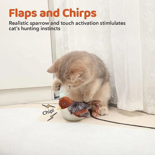 Bird Interactive Cat  Multi Head Auto Cat Teaser   Cat Funny
