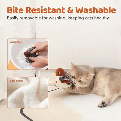 Bird Interactive Cat  Multi Head Auto Cat Teaser   Cat Funny