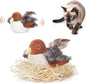 Bird Interactive Cat  Multi Head Auto Cat Teaser   Cat Funny