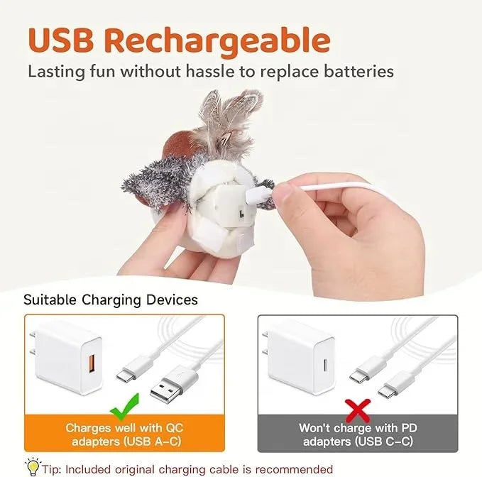 Bird Interactive Cat  Multi Head Auto Cat Teaser   Cat Funny